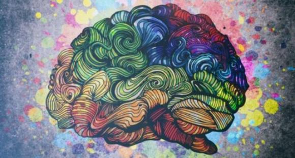 Quale di questi 8 tipi di intelligenza possiedi?