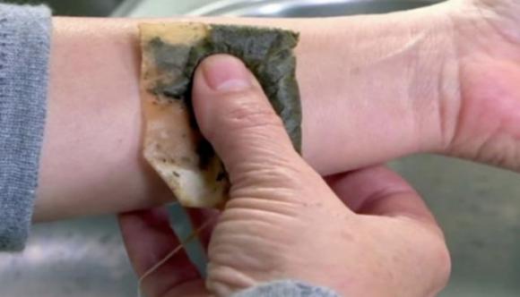 Non buttare via le bustine di tè, ecco alcuni sorprendenti usi alternativi