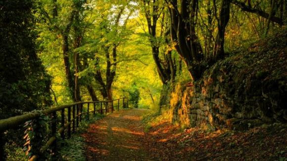 La prima cosa che vedi in questa immagine svelerà la tua paura più profonda