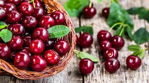 1529512167_5b2a80e73ba54