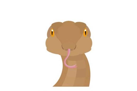 I segni zodiacali cinesi e il loro significato. Che animale sei?