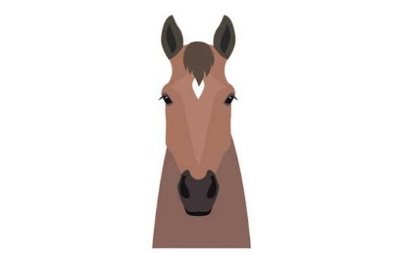 I segni zodiacali cinesi e il loro significato. Che animale sei?