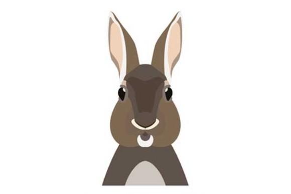 I segni zodiacali cinesi e il loro significato. Che animale sei?