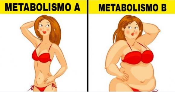 Che cosa è la dieta metabolica e perché funziona davvero