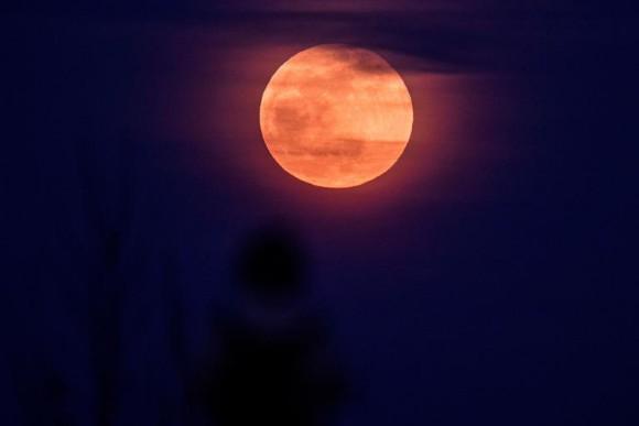 La Luna piena della fragola inciderà molto su questi 4 segni zodiacali