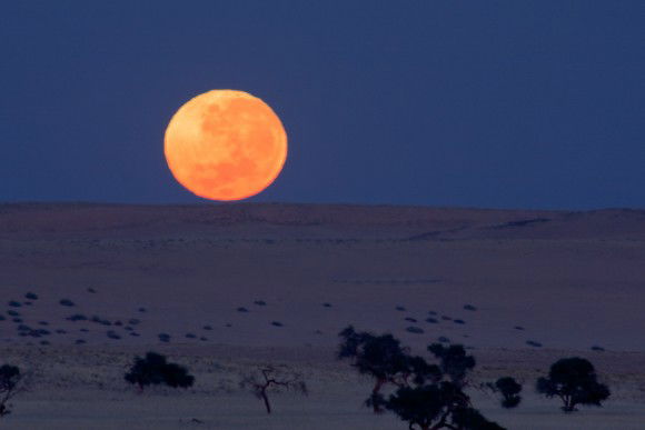 La Luna piena della fragola inciderà molto su questi 4 segni zodiacali