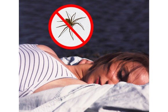 12 falsi miti che la maggior parte di noi crede corrispondano alla realtà