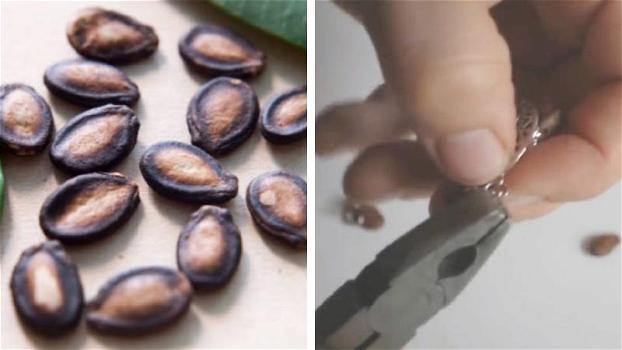 Non buttate via i semi dell’anguria: ecco un’idea per riciclarli in modo creativo