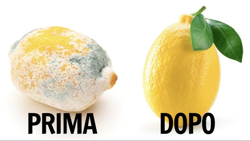 Limoni, con questo trucchetto li puoi conservare per 5-6 mesi: ancora più  freschi e succosi