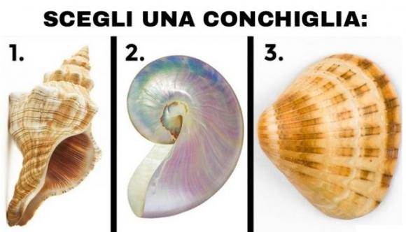 Scegli una conchiglia e scopri cosa rivela della tua personalità