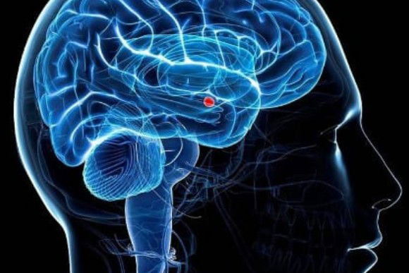 Chi ha rotto il vaso? La tua scelta può dire molto sulla tua personalità