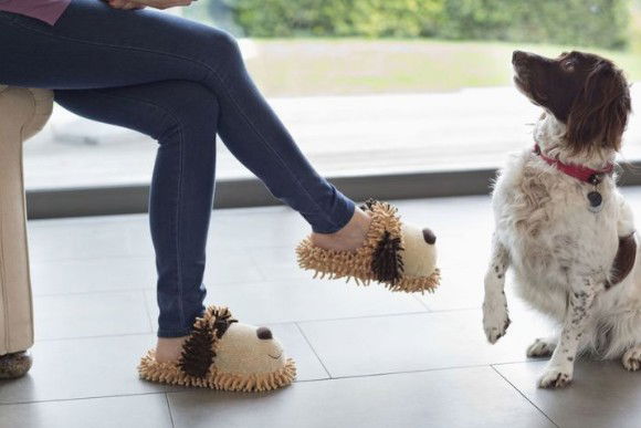 Le persone che parlano ai loro animali domestici sono più intelligenti di quelle che non lo fanno, lo conferma la scienza!