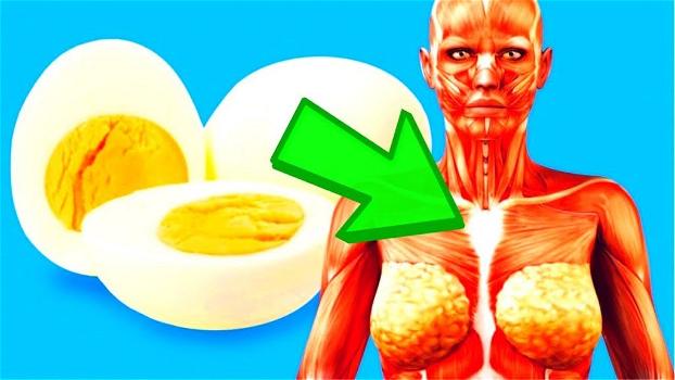 9 cose che accadono al tuo corpo se mangi 2 uova al giorno