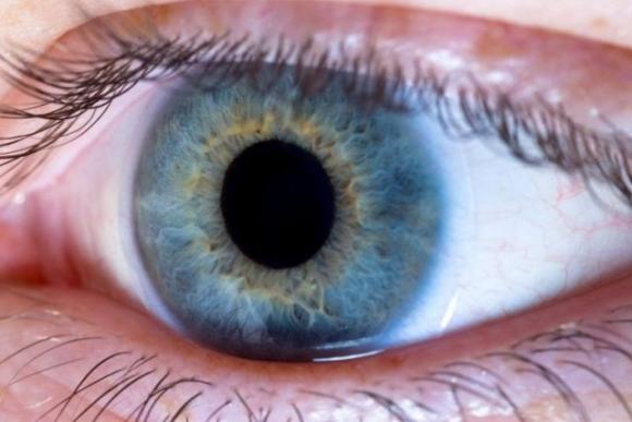 9 cose che accadono al tuo corpo se mangi 2 uova al giorno