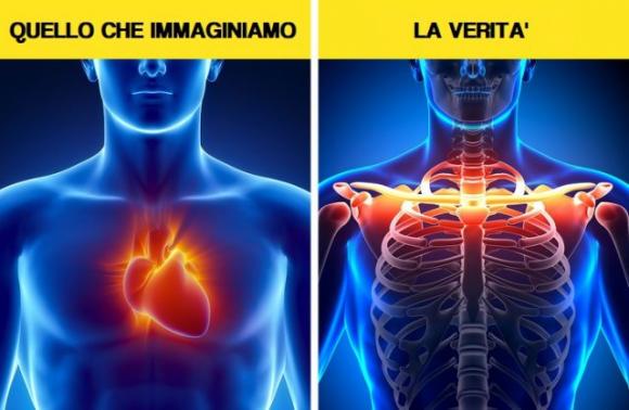 5 sintomi ‘pericolosi’ di cui in realtà non dovremmo preoccuparci!
