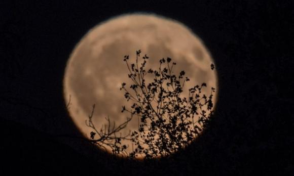 I 4 segni zodiacali che verranno minormente influenzati dalla nuova luna di Settembre