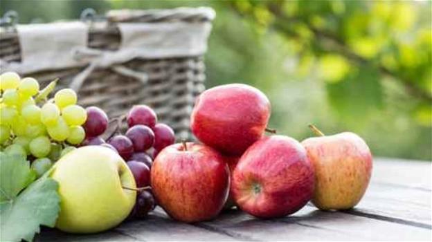 Effetti benefici dell’uva e della mela combinate insieme
