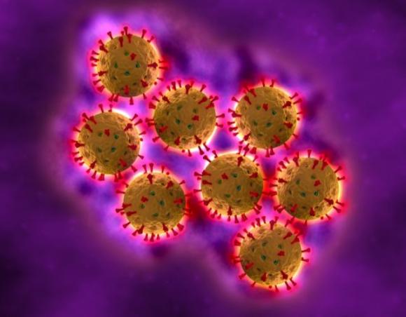 I modi principali per identificare e trattare l’infezione da rotavirus che ogni genitore dovrebbe conoscere
