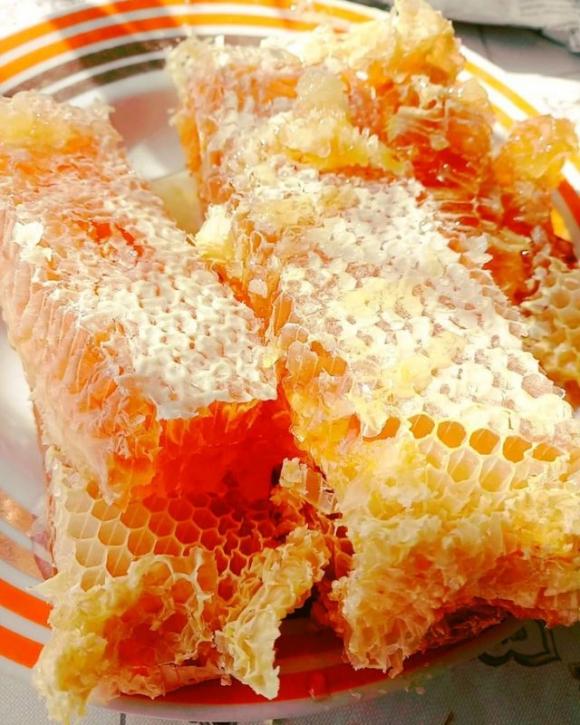 Hai fastidi e prurito al cuoio capelluto? Scopri la causa e come puoi trovare sollievo!