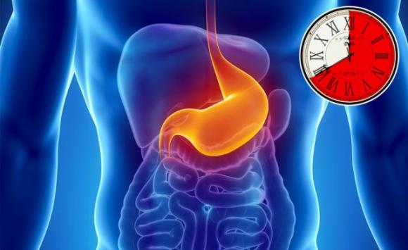 In quanto tempo digeriamo il cibo? È importante saperlo per restare in buona salute
