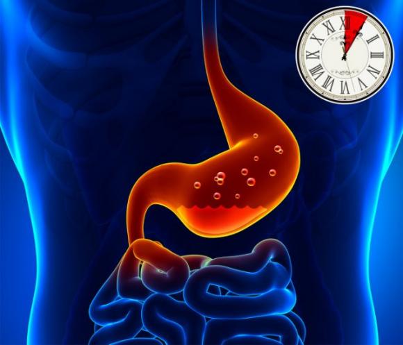 In quanto tempo digeriamo il cibo? È importante saperlo per restare in buona salute