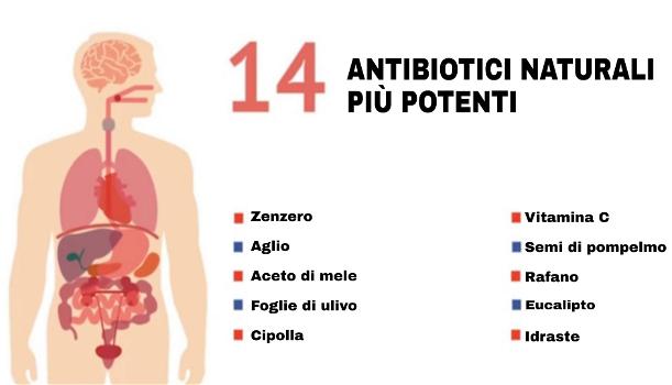 La lista dei 14 antibiotici naturali più potenti conosciuti finora
