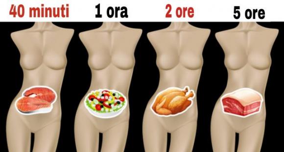 In quanto tempo digeriamo il cibo? È importante saperlo per restare in buona salute