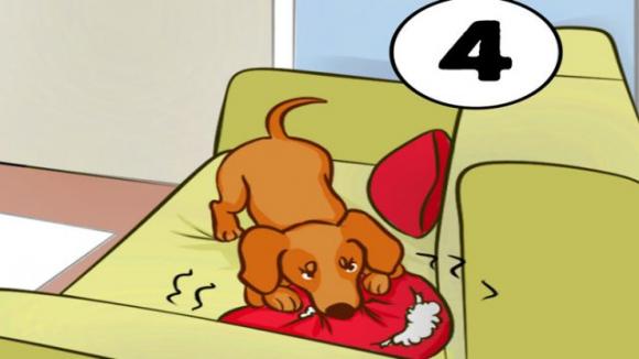 Cosa faresti per prima cosa in questa situazione? La risposta rivela molto di te