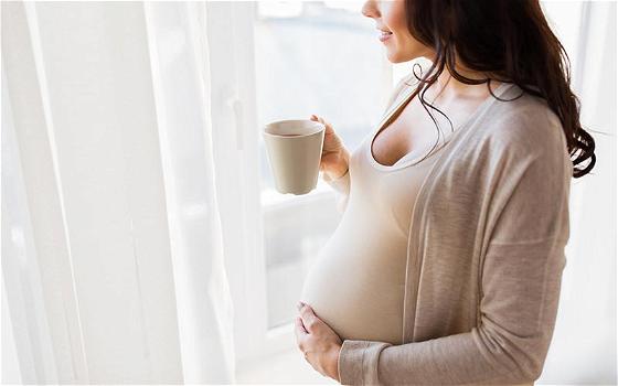 Tisane e camomilla in gravidanza: si possono bere?