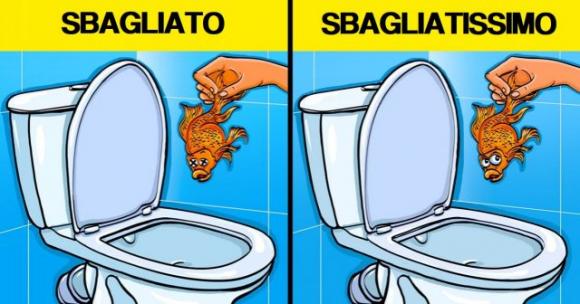 9 oggetti da non buttare assolutamente nello scarico