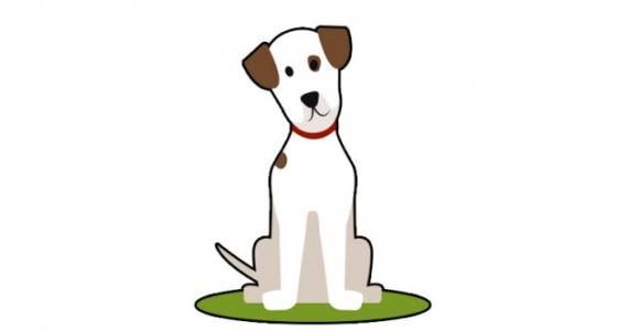 Ecco perché il tuo cane ti segue sempre, perfino quando vai in bagno!