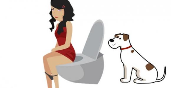 Ecco perché il tuo cane ti segue sempre, perfino quando vai in bagno!