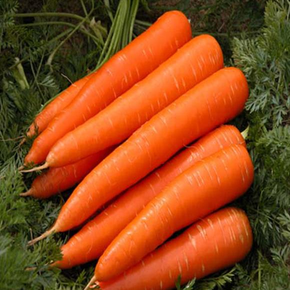 Questo sciroppo naturale alla carota elimina il raffreddore e pulisce i polmoni in meno di un giorno