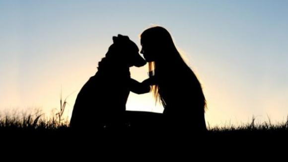 I cani sono quelle creature meravigliose capaci di percepire il nostro dolore