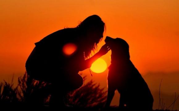 I cani sono quelle creature meravigliose capaci di percepire il nostro dolore