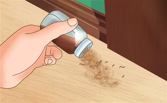 Vuoi liberare la tua casa dagli insetti? Ecco alcuni metodi che funzionano davvero!