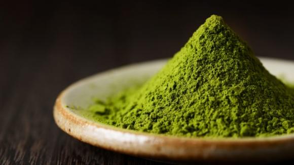 Tè matcha: benefici e utilizzo dell’alimento più antiossidante esistente al mondo