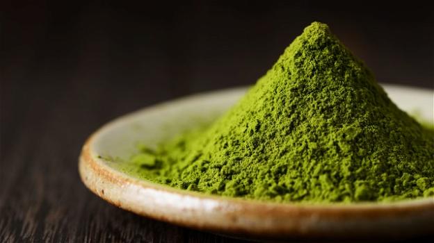 Tè matcha: benefici e utilizzo dell’alimento più antiossidante esistente al mondo