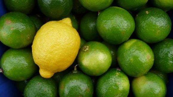 Scopri le differenze tra il limone e il lime, due agrumi a confronto