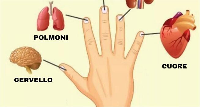 Ciascun dito è collegato a 2 organi diversi: l’antico metodo giapponese per curare il corpo in 5 minuti