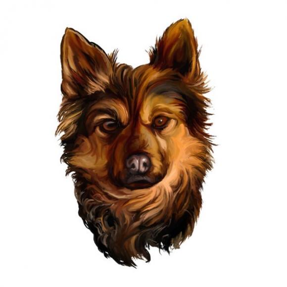 Quale animale hai visto per primo? La risposta può dire molto sulla tua personalità