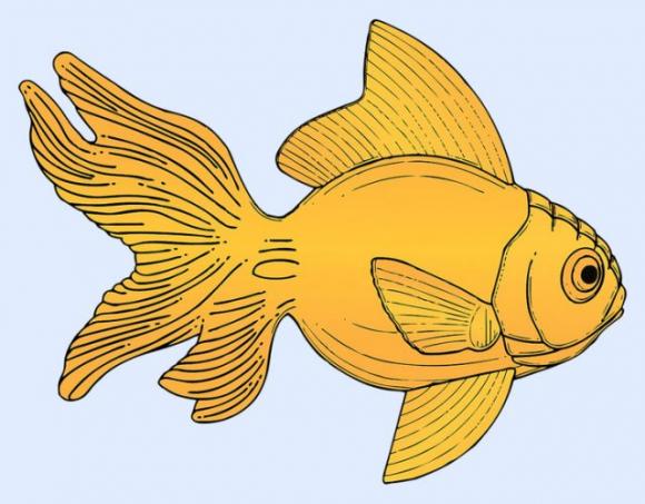 Il primo animale che vedi rivelerà molto sulla tua personalità