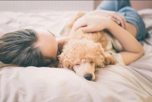 Avere il cane nel tuo letto è la chiave per dormire bene, lo conferma la scienza!
