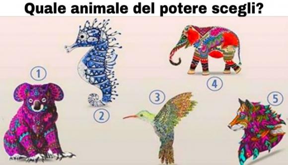 Quale animale del potere scegli? Scopri una grande verità su di te