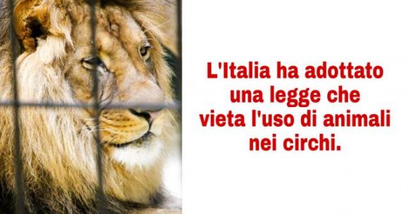 9 notizie che ti faranno sciogliere il cuore