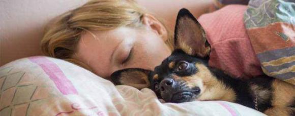 Avere il cane nel tuo letto è la chiave per dormire bene, lo conferma la scienza!