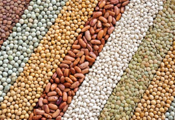 Alcuni segnali che soffri di anemia e come curarla