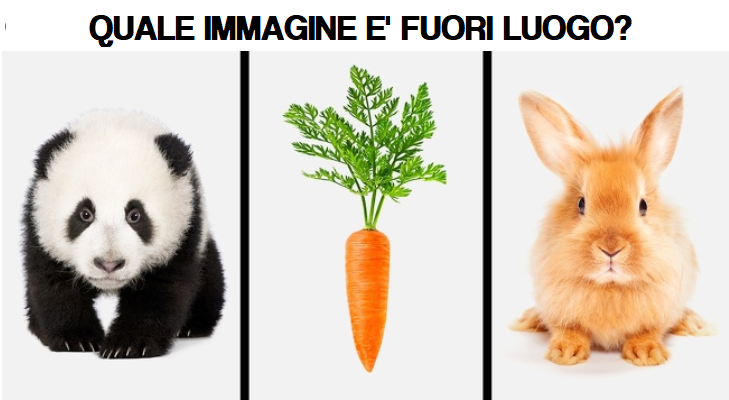 Qual è l’immagine fuori luogo? La risposta dirà molto sul tuo modo di pensare