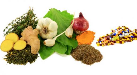 10 antibiotici naturali che uccidono i batteri nel tuo corpo