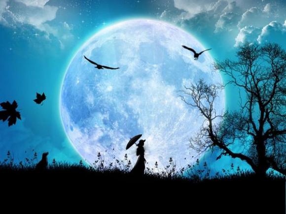 7 motivi per cui una donna forte solitamente è una persona solitaria